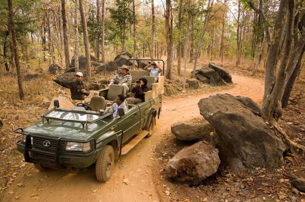 luxury tiger safaris